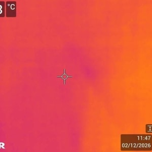 תמונה תרמית עם תאריך ושעה מוצגים