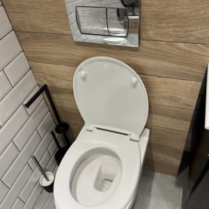 אסלה עם לחצן הדחה כפול על קיר עץ