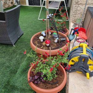 עציצים עם פרחים וכלי גינון על דשא סינתטי