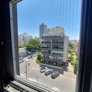 רשת מונעת כניסת יונים בחלון פתוח