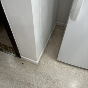 רצפת פרקט עץ בהירה ליד קיר לבן