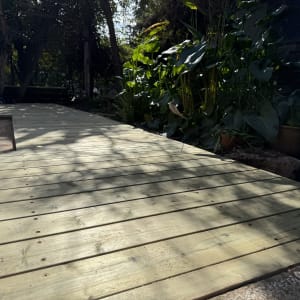 דק עץ בגינה עם צמחים מסביב