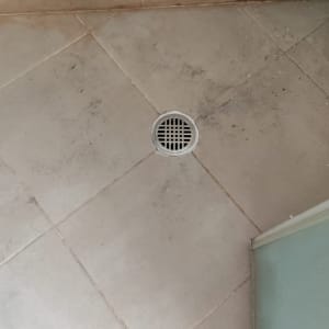 רצפה עם ניקוז במקלחת