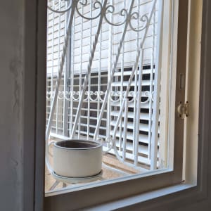 חלון עם סורגי מתכת ועציץ