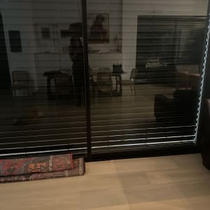 תריסים סגורים בחדר עם שטיח מגולגל