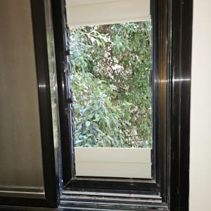 תריס פתוח עם נוף של עצים ירוקים בחוץ