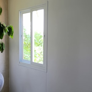 חלון אלומיניום בקיר עם צמח ירוק לידו