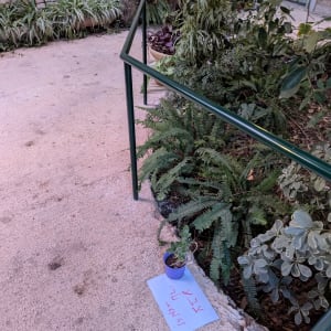 תמונה אינה מציגה עבודה בתחום