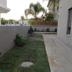 צינור מים על דשא רטוב בגינה קטנה