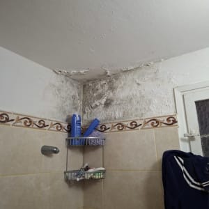 תקרה עם קילופי צבע ועובש בחדר אמבטיה