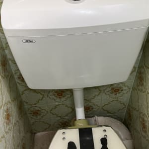 ניאגרה לבנה עם כפתור הדחה עגול