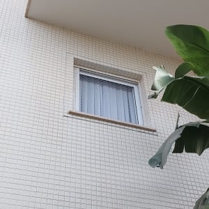 חלון עם רשת למניעת כניסת יונים