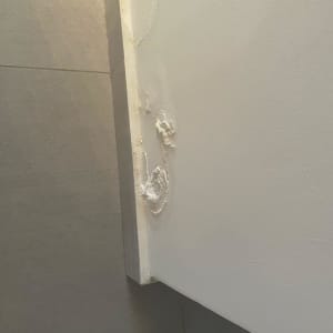 קיר עם קילופי צבע ולחות