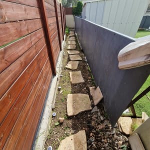 שביל אבנים בגינה לצד גדר עץ