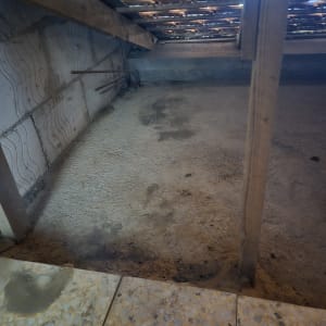 שטח ריק עם רצפה מלוכלכת וקורות עץ