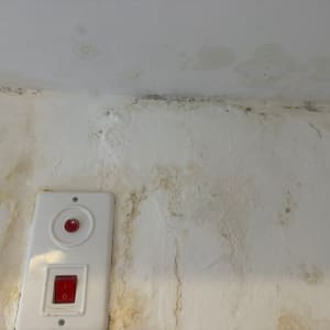 קיר עם סימני רטיבות ושקע חשמלי