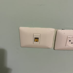 שקע רשת על קיר ירוק