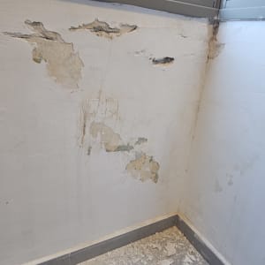 קיר עם קילופי צבע ותיקונים נדרשים