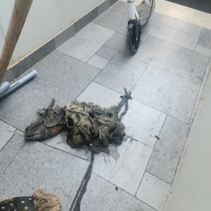 גוש מגבונים ובדים שהוצאו במהלך פתיחת סתימה בביוב