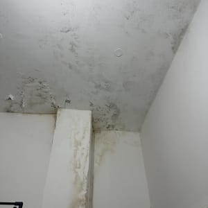 תקרה עם סימני רטיבות ועובש