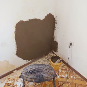 קיר עם טיח רטוב, דלי וכלי עבודה