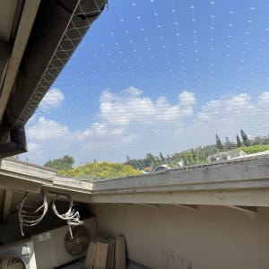 רשת למניעת כניסת יונים מותקנת על גג