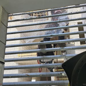 רשת מתכת מותקנת למניעת כניסת יונים למרפסת