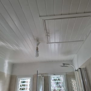 תקרת חדר אמבטיה עם מקלחת ותאורה