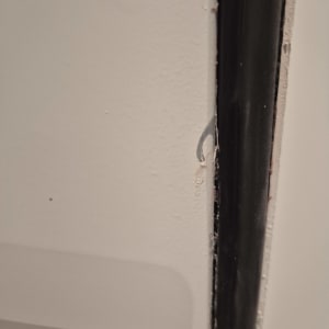 תמונה אינה מציגה עבודה בתחום