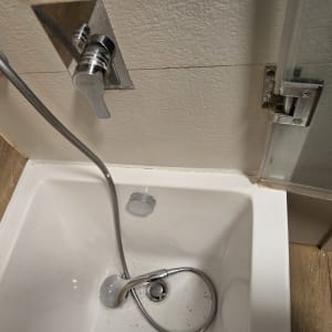 ברז אמבטיה עם צינור מקלחת וכפתור שליטה