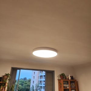 מנורה עגולה על תקרה בחדר עם חלון וספרייה