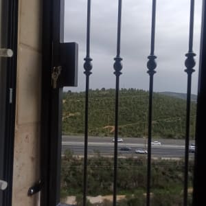 חלון עם סורגים ונוף של כביש ועצים