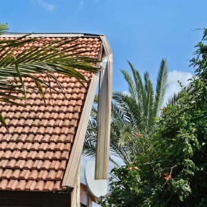 גג רעפים עם צלחת לוויין ועצים ברקע