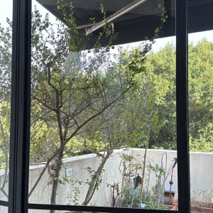 חלון זכוכית עם עציצים בחוץ