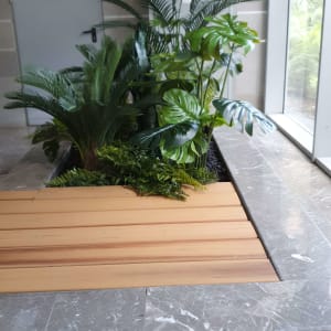 צמחים ירוקים ליד משטח עץ בגינה פנימית