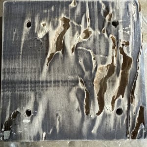 לוח עץ עם חורים ונזקי טרמיטים