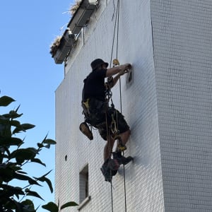 אדם מטפס על קיר עם ציוד בטיחות להסרת יונים