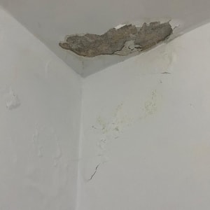 קיר עם קילופי צבע ונזקי רטיבות