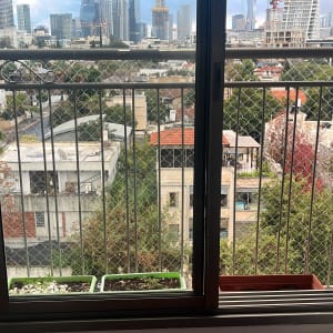 רשת הגנה על מרפסת עם נוף עירוני ברקע