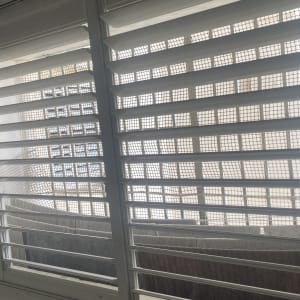 תריסים לבנים עם רשת במרפסת