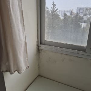 עובש על קיר ליד חלון, בעיית איטום