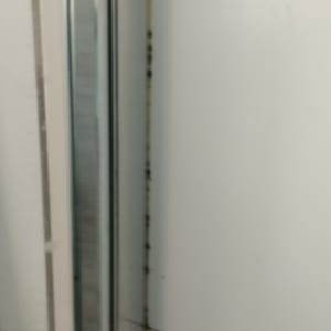 קיר מקלחת עם כתמי עובש על האריחים