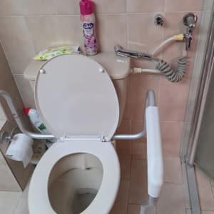 שירותים עם ידית אחיזה ומרסס מים