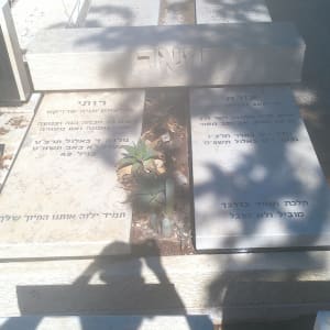 מצבות עם כיתוב בעברית וצמחייה מסביב