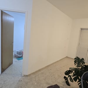 קיר צבוע ולבן עם רצפה מרוצפת וצמח בפינה