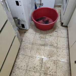 דליפה על הרצפה ליד מכונת כביסה ודלי אדום