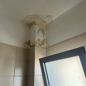 רטיבות ועובש בפינת תקרה ליד חלון