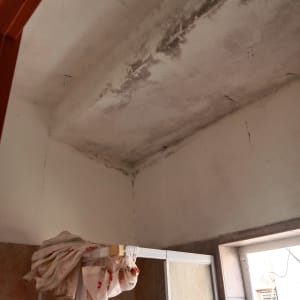 תקרה עם סימני רטיבות ועובש