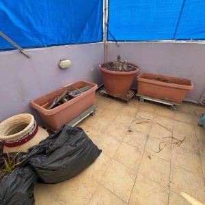 עציצים ריקים ושקיות שחורות במרפסת