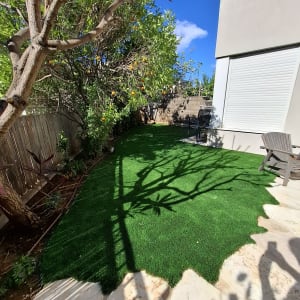 דשא ועצים בגינה עם שמש וצללים